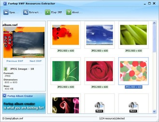 Fortop SWF Resources Extractor | Patel Bhaumik's Blog